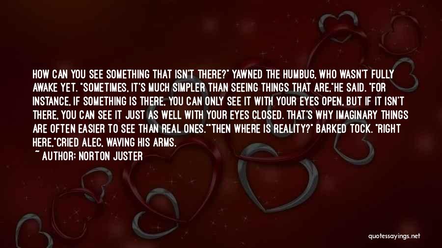 Something Just Isn't Right Quotes By Norton Juster