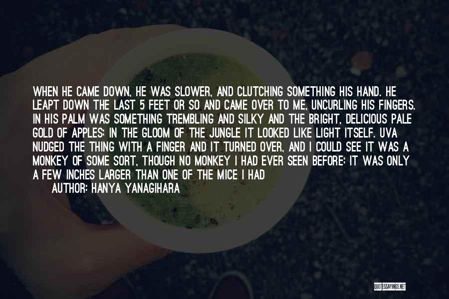 Something Killing Me Quotes By Hanya Yanagihara