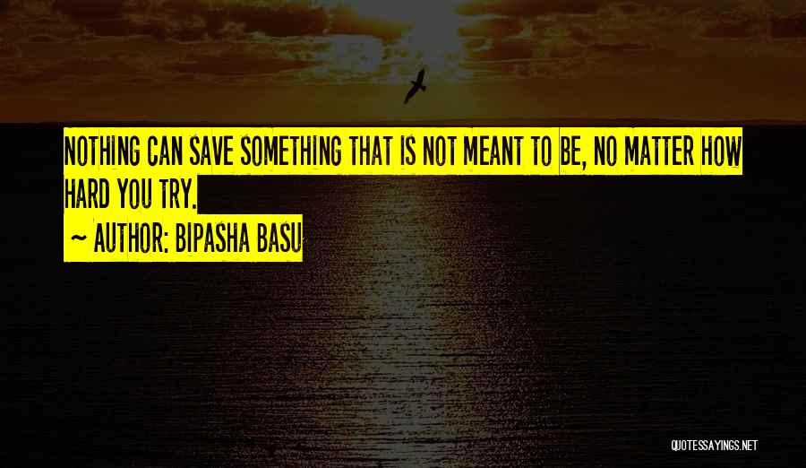 Something Meant To Be Quotes By Bipasha Basu