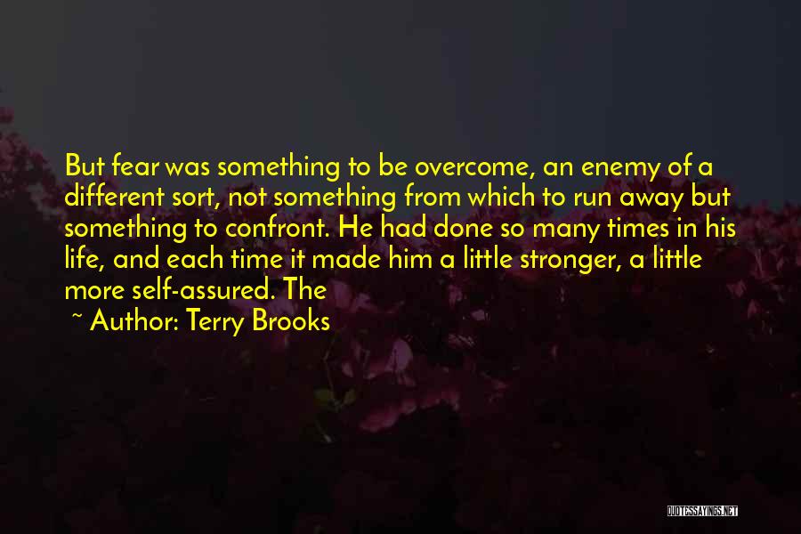 Something More To Life Quotes By Terry Brooks