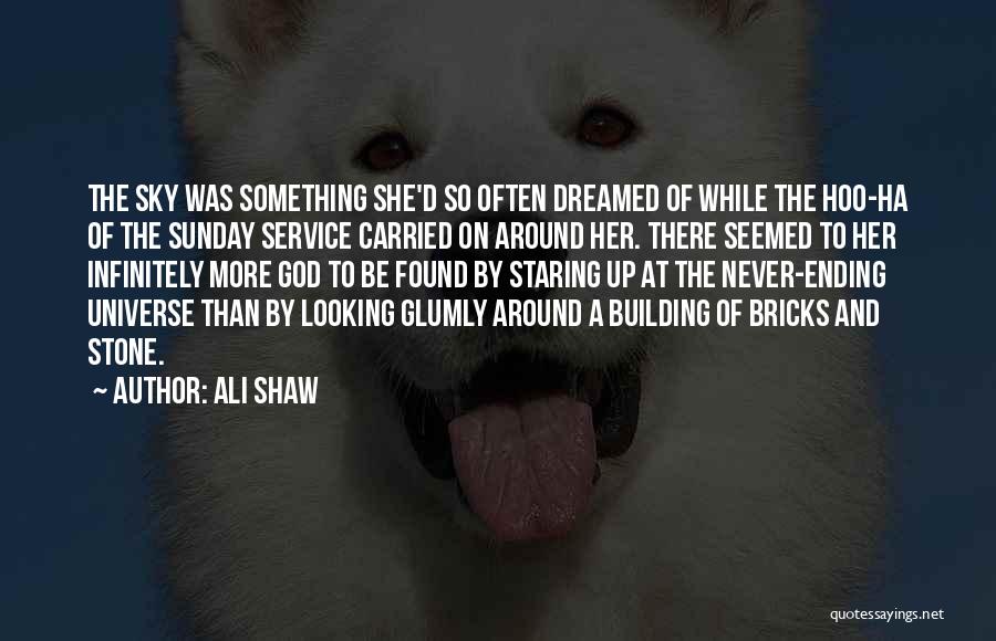 Something Never Ending Quotes By Ali Shaw