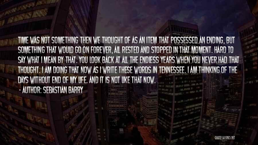 Something Never Ending Quotes By Sebastian Barry