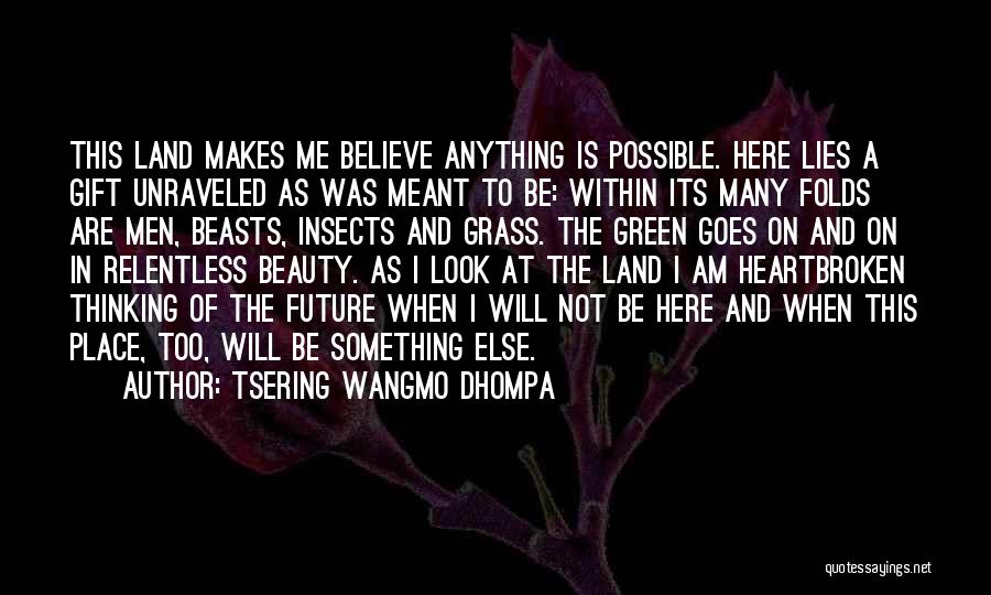 Something Not Meant To Be Quotes By Tsering Wangmo Dhompa