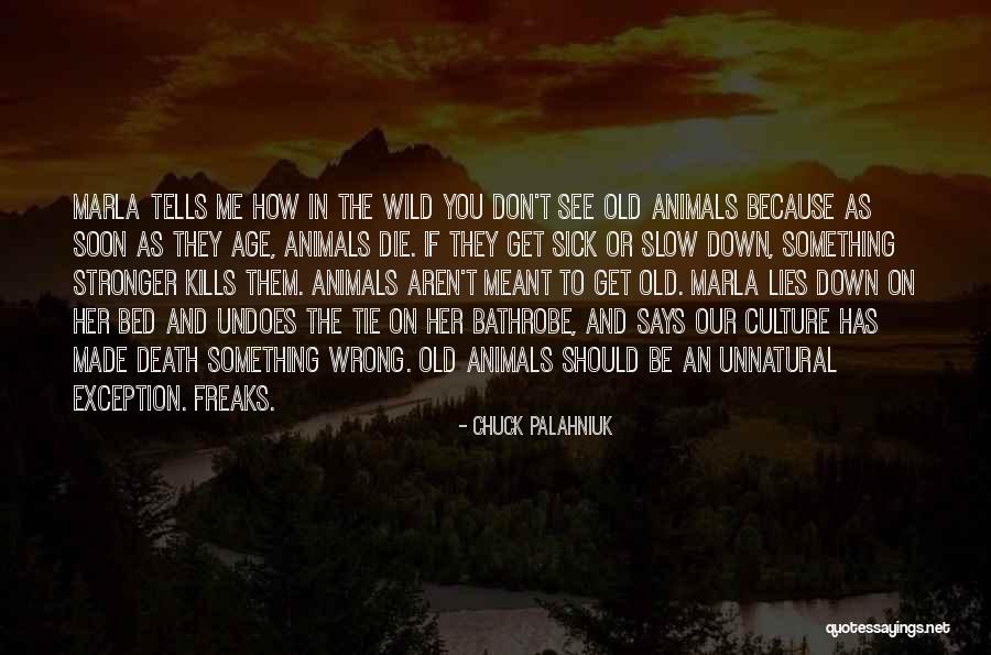 Something Old Quotes By Chuck Palahniuk Something Old Quotes By Chuck Palahniuk