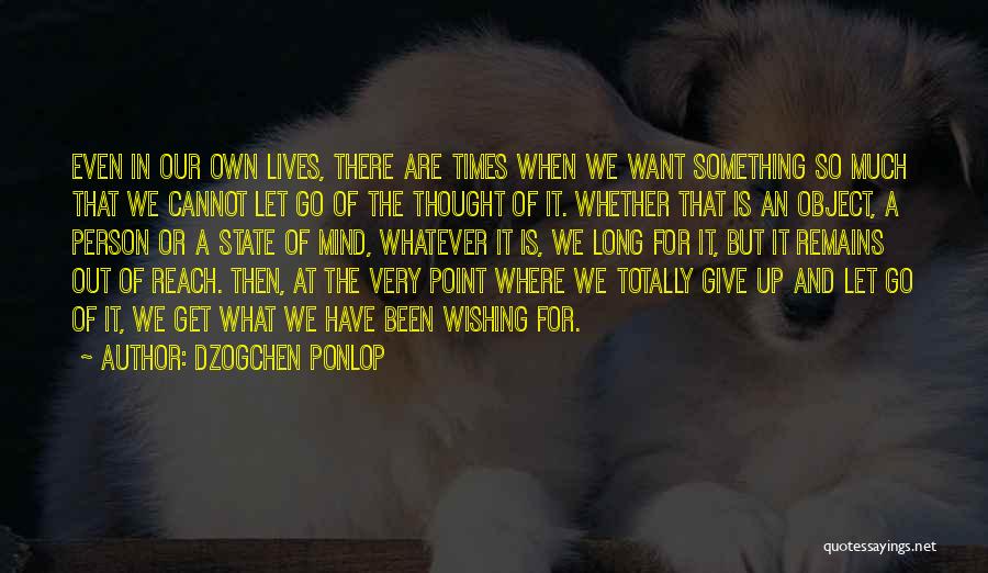 Something Out Of Reach Quotes By Dzogchen Ponlop