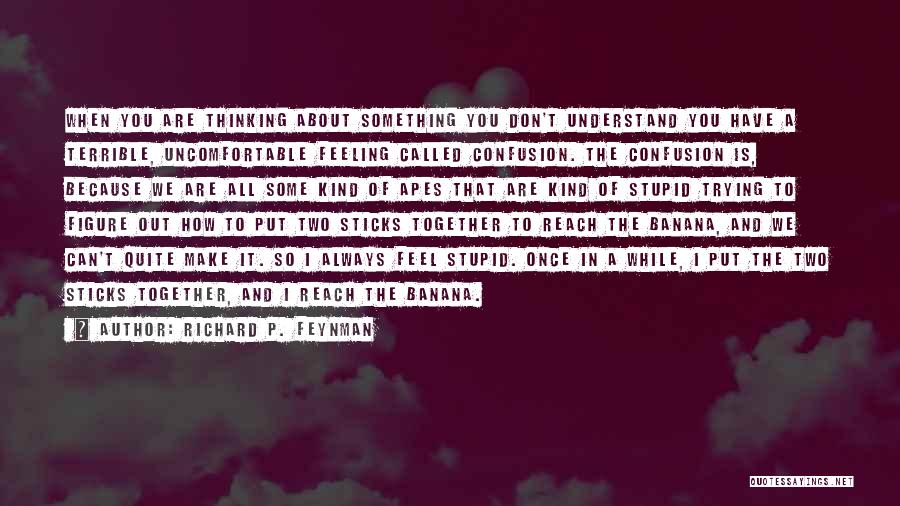 Something Out Of Reach Quotes By Richard P. Feynman