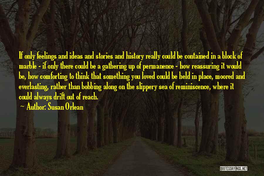 Something Out Of Reach Quotes By Susan Orlean