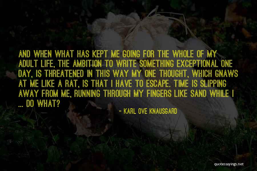 Something Slipping Away Quotes By Karl Ove Knausgard