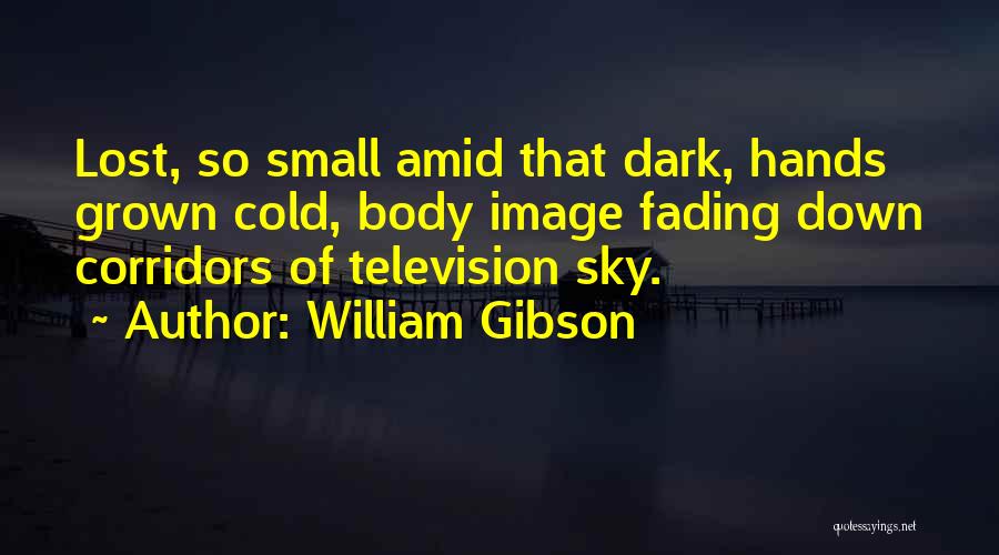 Something Slipping Away Quotes By William Gibson