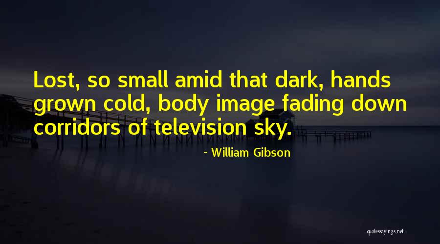 Something Slipping Away Quotes By William Gibson