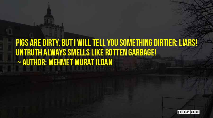 Something Smells Quotes By Mehmet Murat Ildan