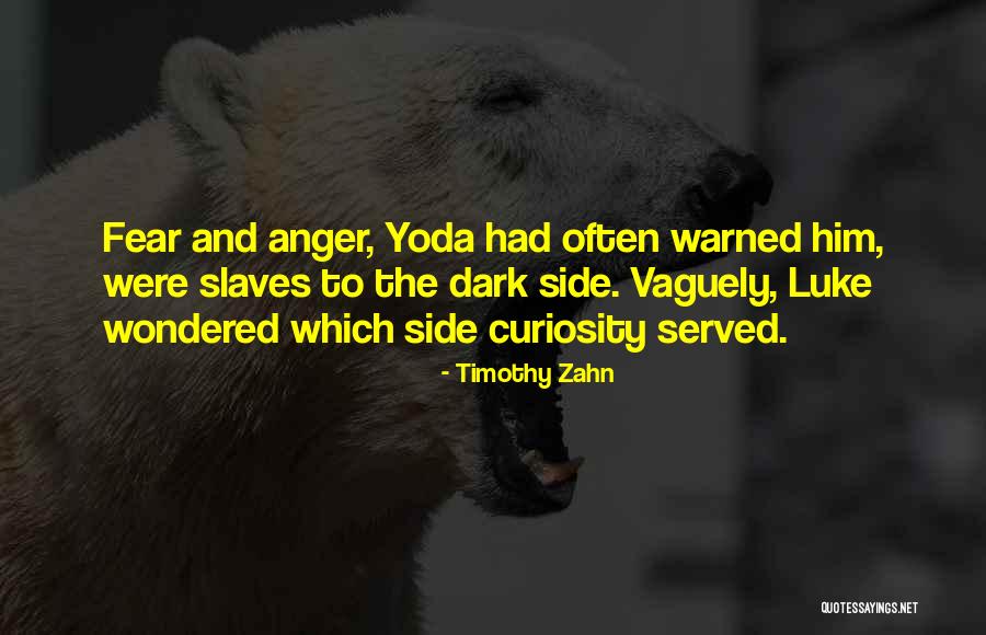 Something Something Something Dark Side Yoda Quotes By Timothy Zahn