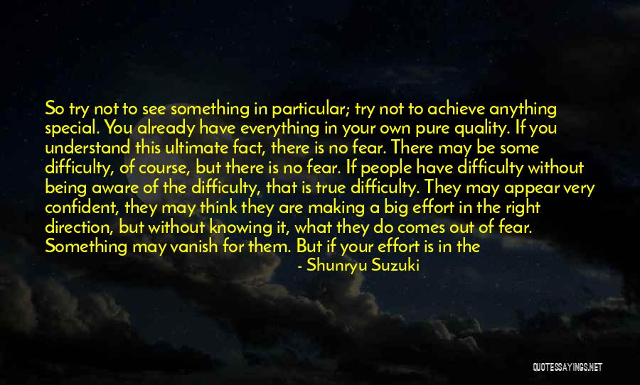 Something Special For You Quotes By Shunryu Suzuki