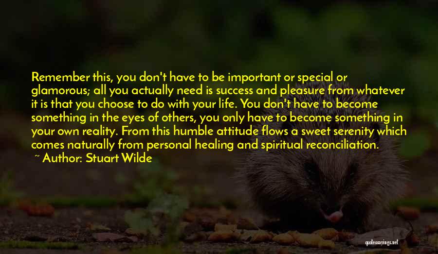 Something Special In Life Quotes By Stuart Wilde