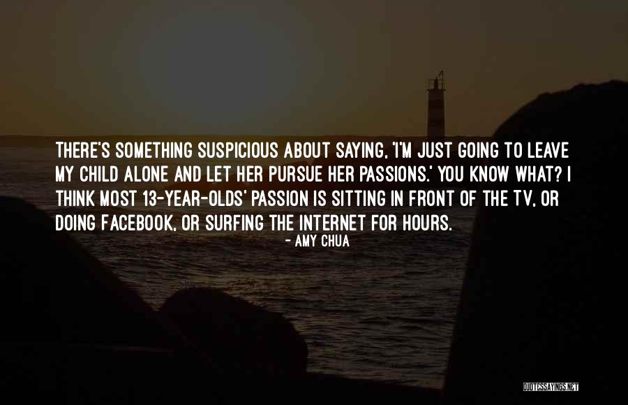 Something Suspicious Quotes By Amy Chua