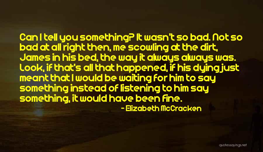 Something That Wasn't Meant To Be Quotes By Elizabeth McCracken Something That Wasn't Meant To Be Quotes By Elizabeth McCracken