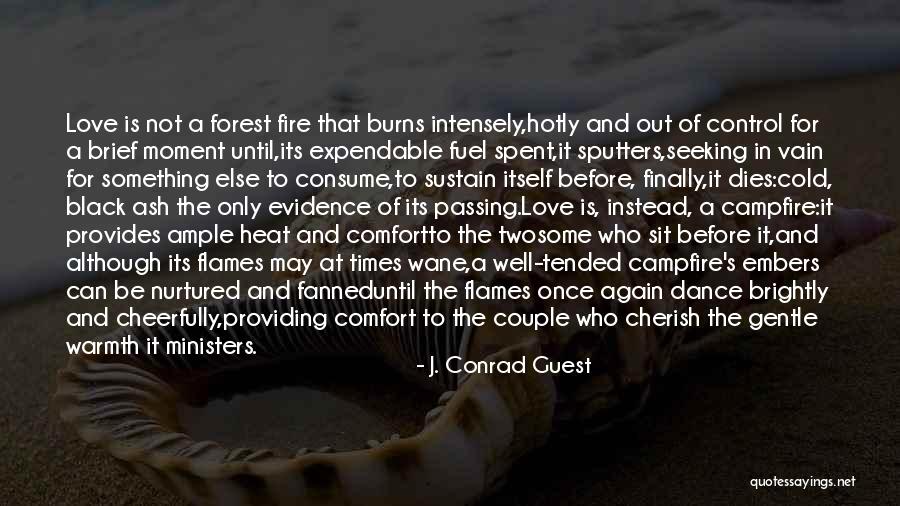 Something To Cherish Quotes By J. Conrad Guest Something To Cherish Quotes By J. Conrad Guest