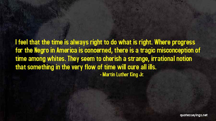 Something To Cherish Quotes By Martin Luther King Jr. Something To Cherish Quotes By Martin Luther King Jr.