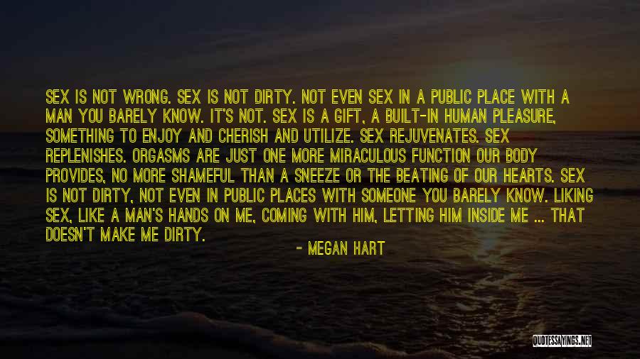 Something To Cherish Quotes By Megan Hart Something To Cherish Quotes By Megan Hart