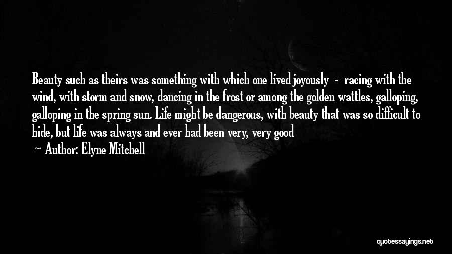 Something To Hide Quotes By Elyne Mitchell