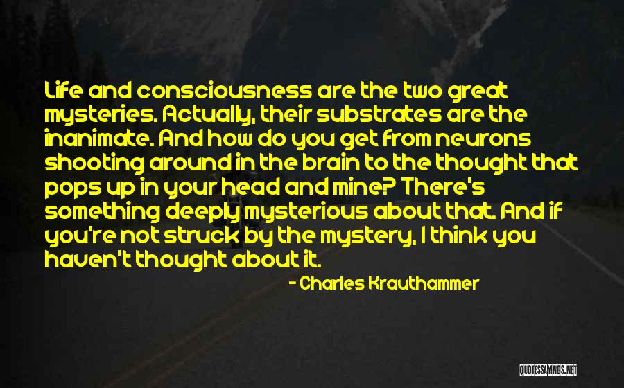 Something To Think About Life Quotes By Charles Krauthammer