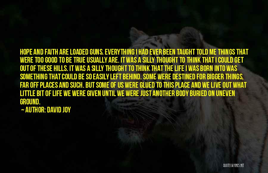 Something Too Good To Be True Quotes By David Joy