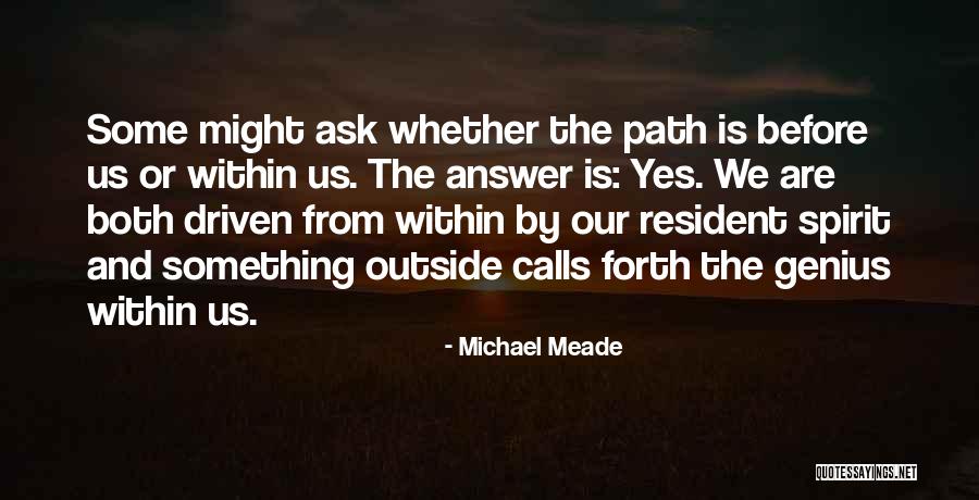 Something Within Quotes By Michael Meade