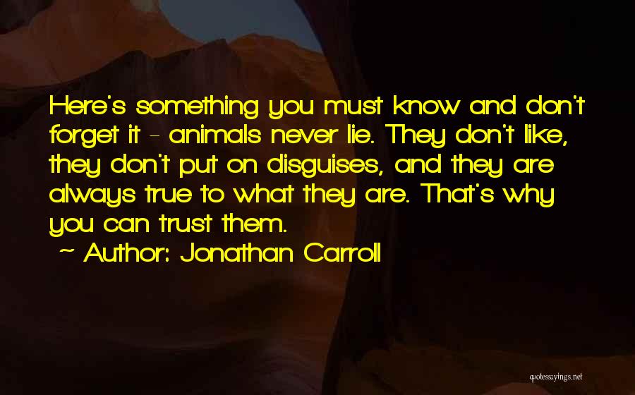 Something You Can't Forget Quotes By Jonathan Carroll