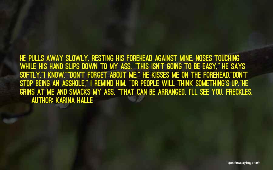 Something You Can't Forget Quotes By Karina Halle