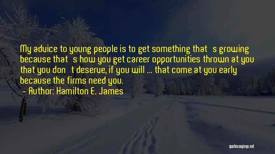 Something You Deserve Quotes By Hamilton E. James