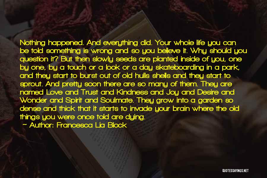 Something You Did Wrong Quotes By Francesca Lia Block