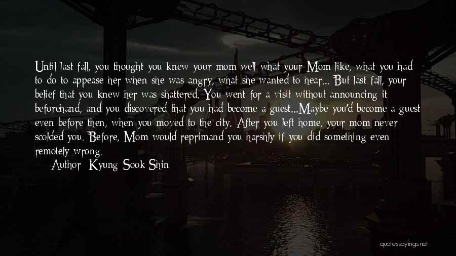 Something You Did Wrong Quotes By Kyung-Sook Shin