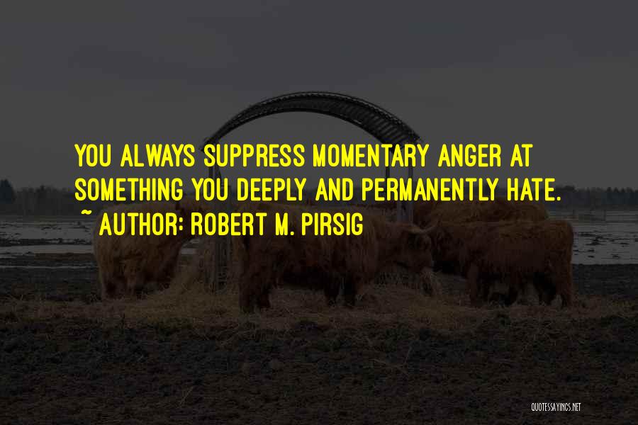 Something You Hate Quotes By Robert M. Pirsig