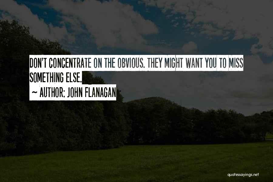 Something You Miss Quotes By John Flanagan