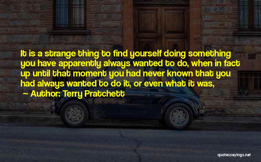 Something You Never Had Quotes By Terry Pratchett