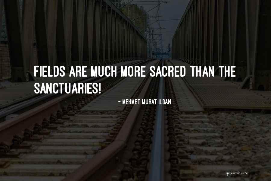 Sometime I Wonder If Quotes By Mehmet Murat Ildan Sometime I Wonder If Quotes By Mehmet Murat Ildan