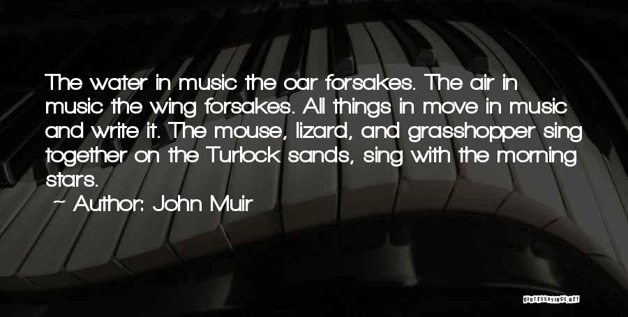 Sometime Music Quotes By John Muir