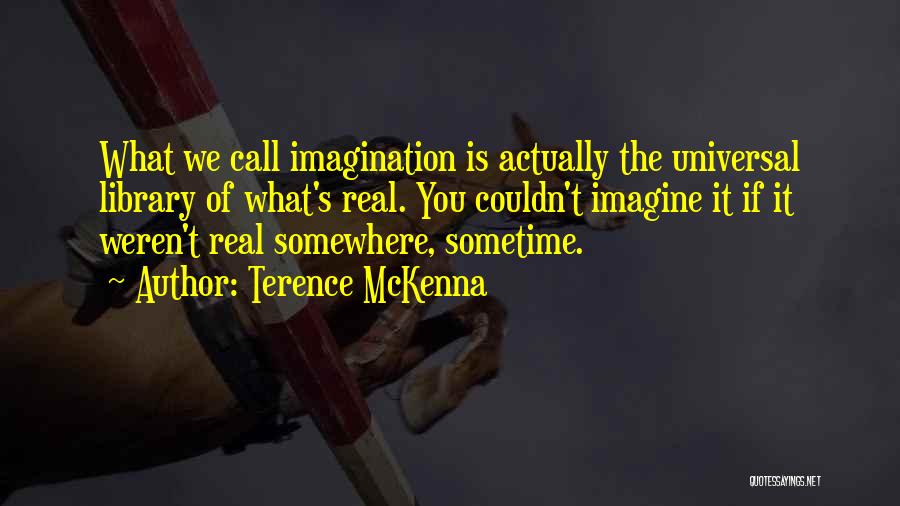 Sometime Somewhere Quotes By Terence McKenna