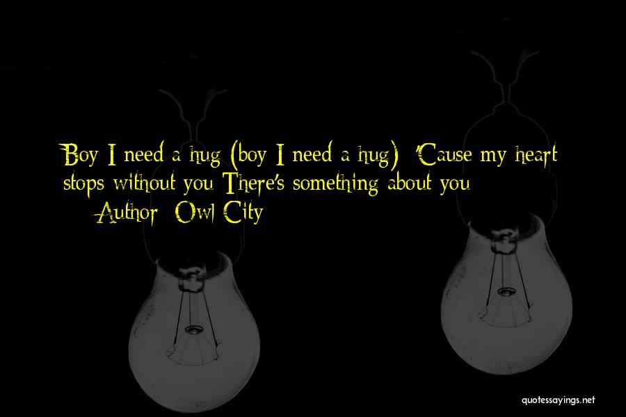 Sometimes All You Need Is Hug Quotes By Owl City