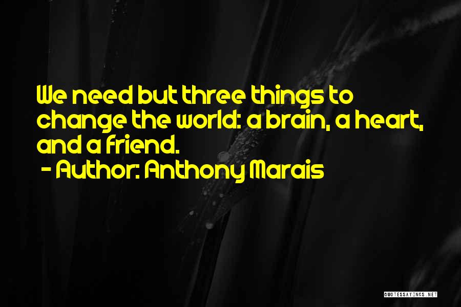 Sometimes All You Need's A Friend Quotes By Anthony Marais