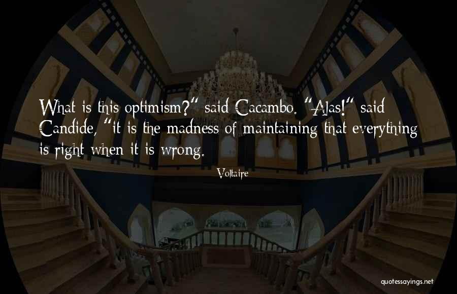 Sometimes Everything Goes Wrong Quotes By Voltaire Sometimes Everything Goes Wrong Quotes By Voltaire