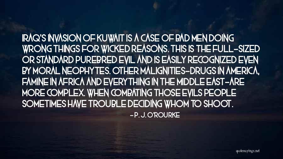 Sometimes Everything Is Wrong Quotes By P. J. O'Rourke