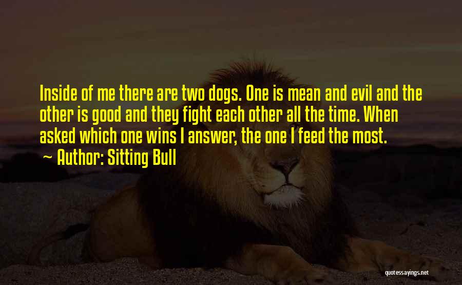 Sometimes Evil Wins Quotes By Sitting Bull