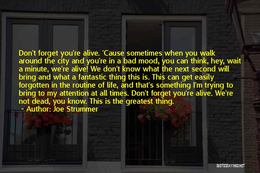 Sometimes I Don't Think Quotes By Joe Strummer