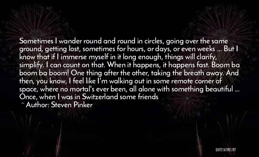 Sometimes I Feel Alone Quotes By Steven Pinker