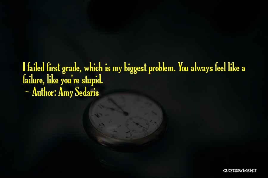 Sometimes I Feel Like A Failure Quotes By Amy Sedaris