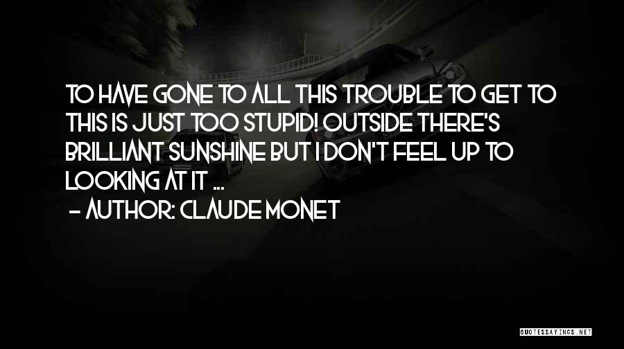 Sometimes I Feel Stupid Quotes By Claude Monet