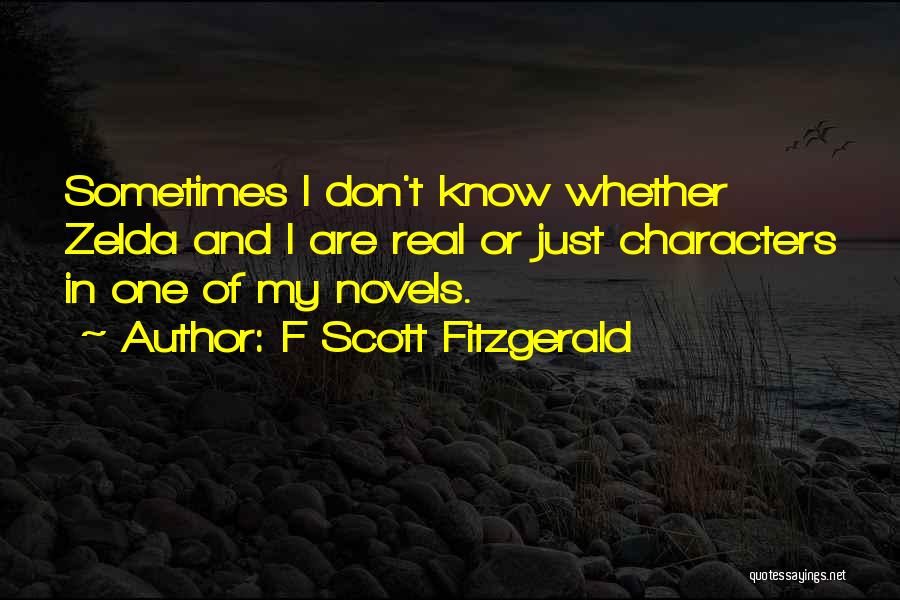 Sometimes I Just Don't Know Quotes By F Scott Fitzgerald