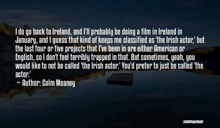 Sometimes I Just Feel Like Quotes By Colm Meaney
