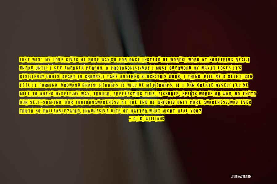 Sometimes I Just Feel Lost Quotes By C. K. Williams